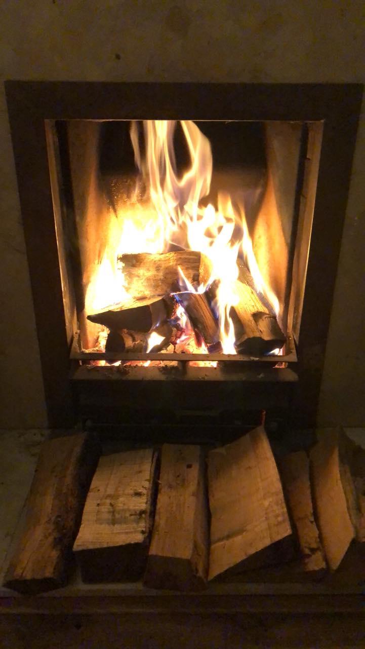 Log fire