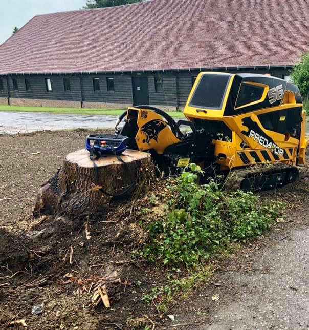 TTMC Stump Grinding