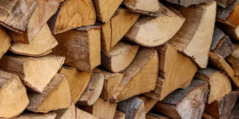 stacked firewood logs