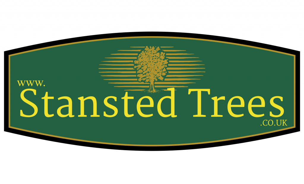 Stansted Trees Logo